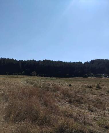 Verkauf - Baugrundstück in Dupniza,  Küstendil