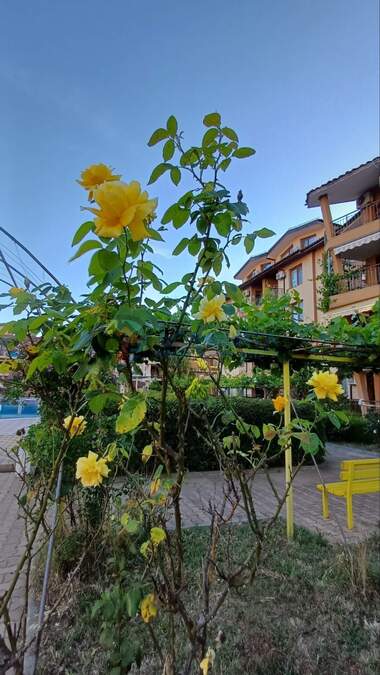 Vânzare - Apartament în Țarevo,  Burgas