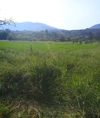 Verkauf - Baugrundstück in Saparewa Bania,  Küstendil