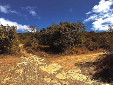 For sale - For Construction in Nessebar,  Burgas