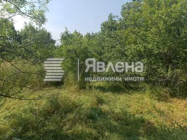 For sale - For Construction in Fazanovo,  Burgas