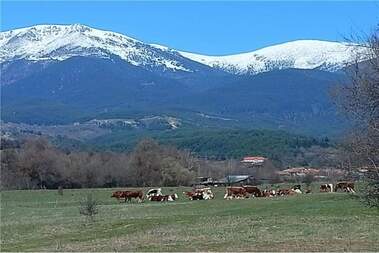 Satış - İnşaat arsası olarak Dolno Draglishte,  Blagoevgrad
