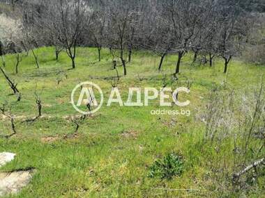 Πώληση - Οικόπεδο για κατασκευή σε Осеново,  Варна