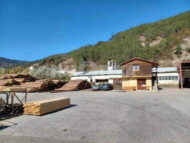 Vânzare - Spațiu industrial în Devin,  Smolian