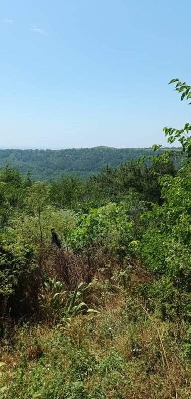 Satış - İnşaat arsası olarak Kavarna,  Dobriç