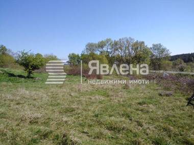 Verkauf - Landwirtschaftlich Grundstück in Zarewo,  Burgas