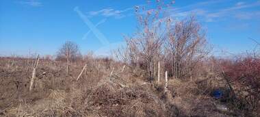 For sale - For Construction in Brestnik,  Plovdiv