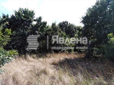Verkauf - Landwirtschaftlich Grundstück in Warwara,  Burgas