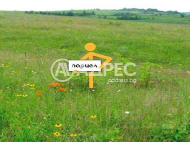Продажа - Участок под строительство в Золотые Пески,  Варна