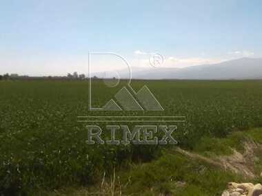 For sale - For Construction in Asenovgradsko shose,  Plovdiv