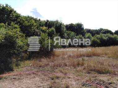 Verkauf - Landwirtschaftlich Grundstück in Warwara,  Burgas