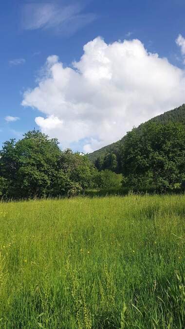 Verkauf - Baugrundstück in Saparewa Bania,  Küstendil