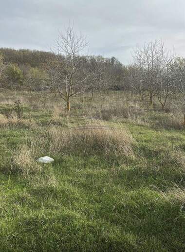 Verkauf - Obstgarten in Ruez,  Targowishte