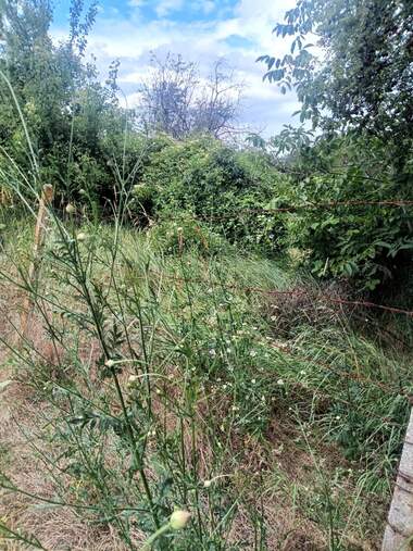 For sale - For Construction in Promishlena zona - Zapad,  Razgrad