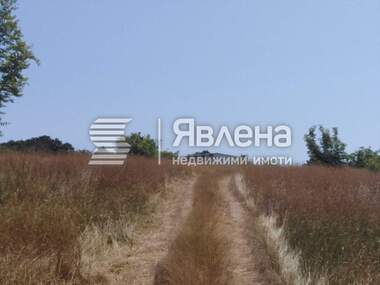 Verkauf - Landwirtschaftlich Grundstück in Warwara,  Burgas