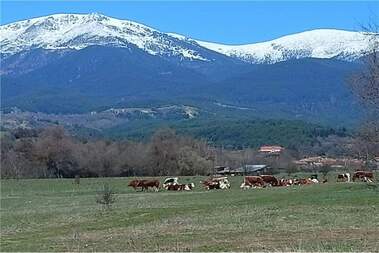 Satış - İnşaat arsası olarak Dolno Draglishte,  Blagoevgrad
