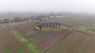For sale - For Construction in Brestnik,  Plovdiv