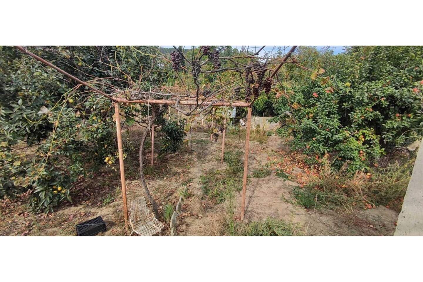 For Construction in Sveti Nikola, Varna – photo 3