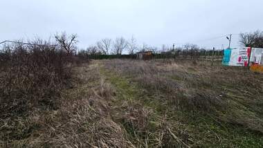 Verkauf - Weinberge in Promischlena zona - Sewer,  Razgrad