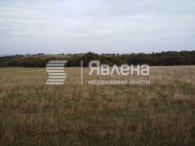 Verkauf - Landwirtschaftlich Grundstück in Lozenez,  Burgas