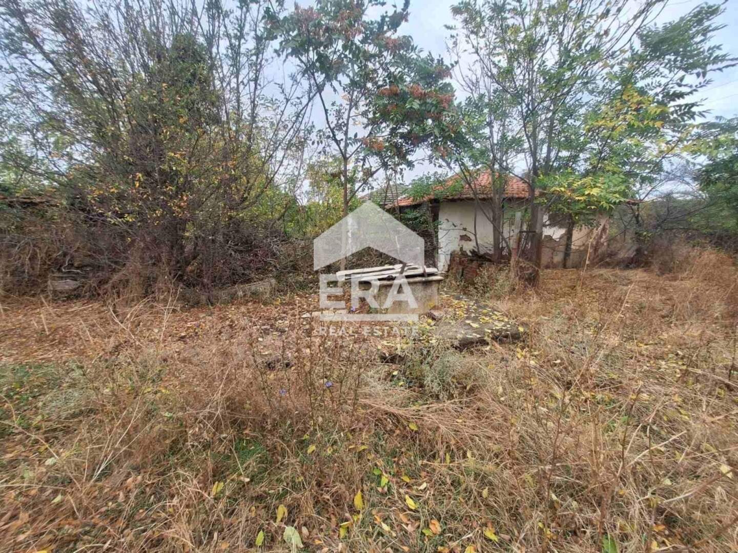 Baugrundstück in Swirkowo, Haskowo – Foto 5