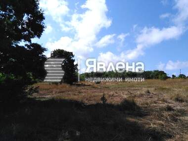Verkauf - Landwirtschaftlich Grundstück in Warwara,  Burgas