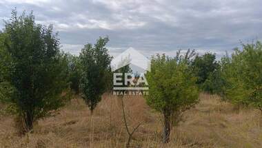 Vânzare - Teren agricol în Kovace,  Stara Zagora