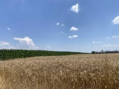 Vânzare - Teren agricol în Krumovo,  Plovdiv