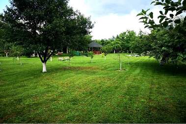 For sale - For Construction in Pod manastira,  Shumen