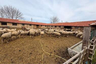 Satış - Endustriyel tesisler olarak Bistra,  Targovishte