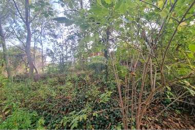 For sale - For Construction in Lozevo,  Shumen