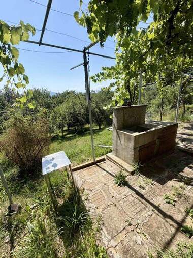 For sale - House in Belish,  Lovech