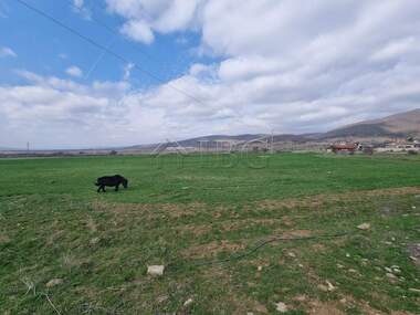 Satış - Tarım arsası olarak Koşarica,  Burgas