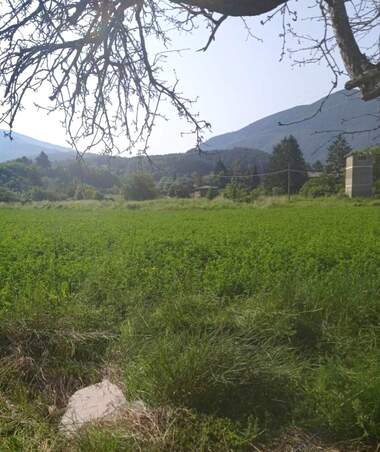 Verkauf - Baugrundstück in Saparewa Bania,  Küstendil