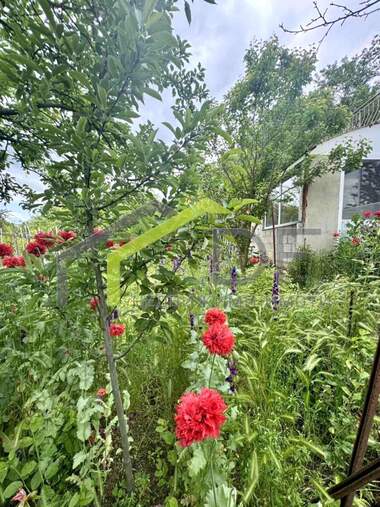 Vânzare - Casă în Dobrogled,  Varna