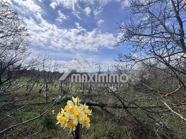 For sale - For Construction in Planova,  Varna