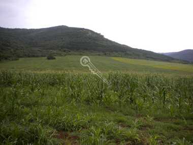 For sale - For Construction in Gorsko Kosovo,  Veliko Tyrnovo