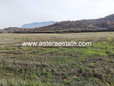 For sale - Orchard in Usoyka,  Kiustendil