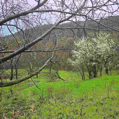 Verkauf - Landwirtschaftlich Grundstück in Ruen,  Plowdiw