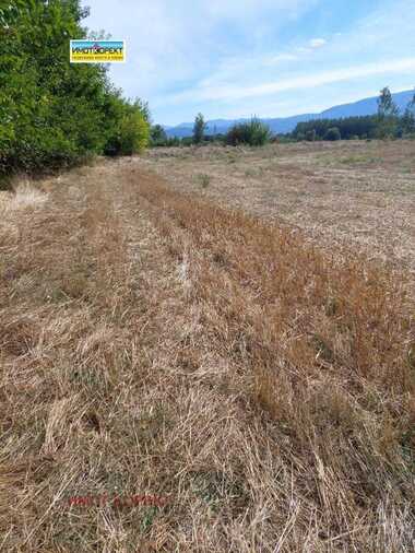 For sale - Agricultural land in Bratanica,  Pazardjik