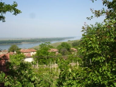 Недвижими имоти за продажба в село Остров, област Враца