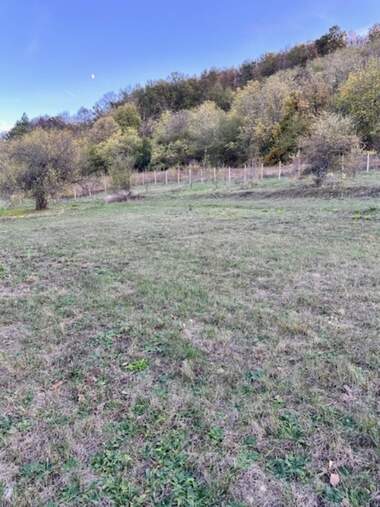 For sale - Agricultural land in Pchelishte,  Veliko Tyrnovo