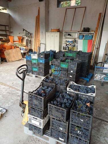 For sale - Warehouse in Brestovica,  Plovdiv