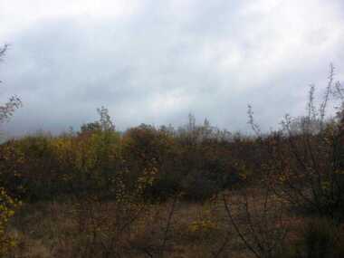 For sale - For Construction in Balchik,  Dobrich