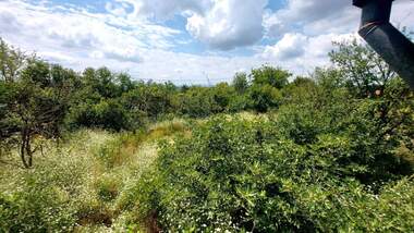 Vânzare - Casă în Promișlena zona-Iug,  Haskovo
