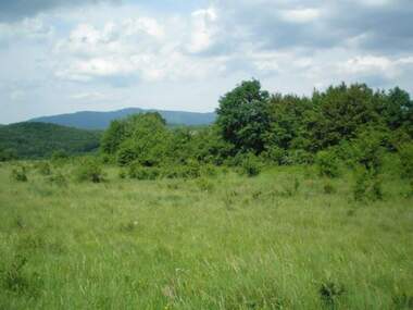 For sale - For Construction in Ravnovo,  Veliko Tyrnovo