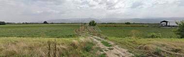 For sale - Agricultural land in Zlatitrap,  Plovdiv