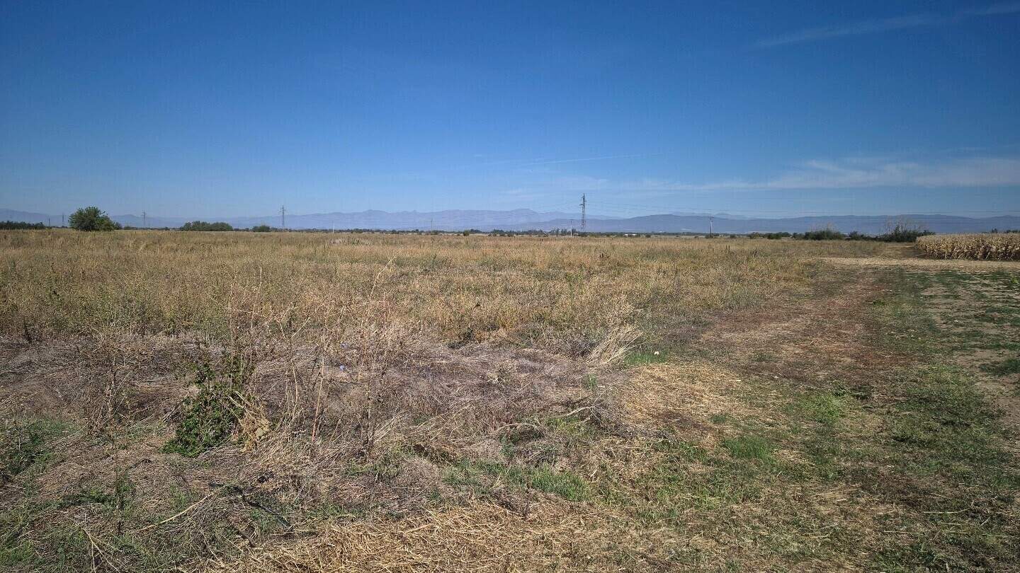 Agricultural land in Rakovski, Plovdiv – photo 5