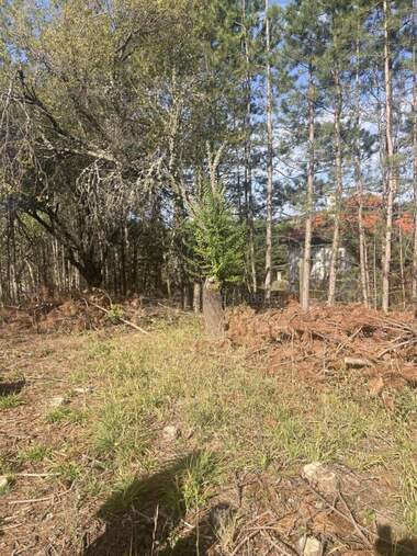 For sale - For Construction in Logodaj,  Blagoevgrad