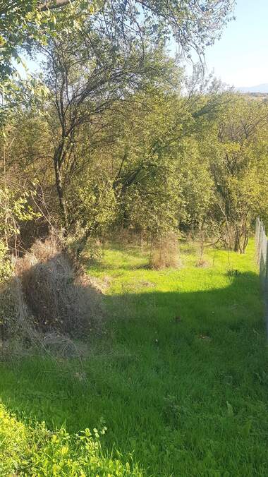 For sale - For Construction in Boboshevo,  Kiustendil